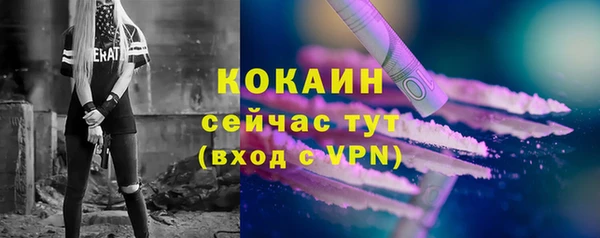 дмт Богданович