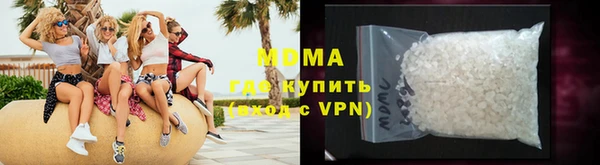 дмт Богданович