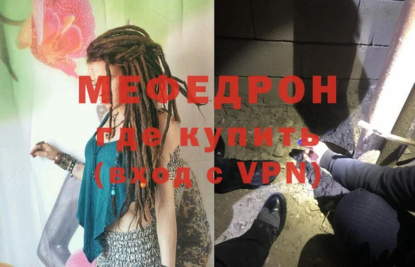 сатива Белокуриха