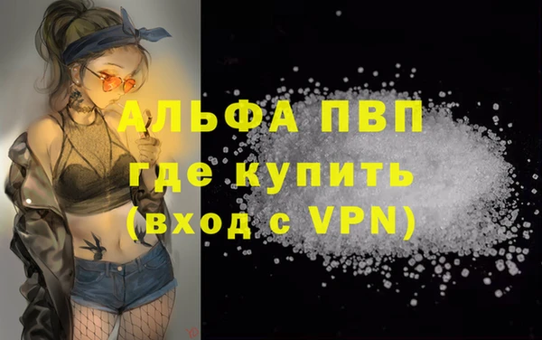 сатива Белокуриха