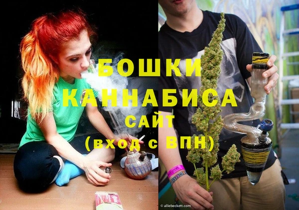 сатива Белокуриха