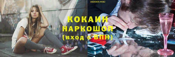 сатива Белокуриха