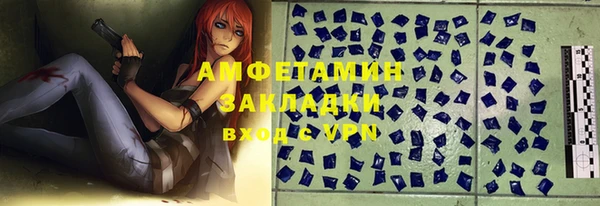 дмт Богданович